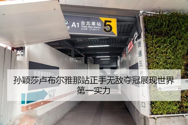 孙颖莎卢布尔雅那站正手无敌夺冠展现世界第一实力
